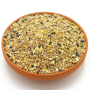 deluxe wild bird seed double bag