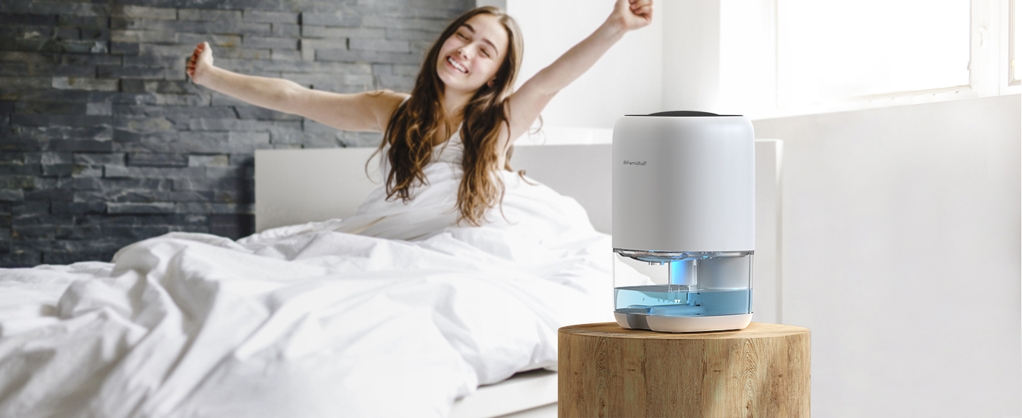 Dehumidifier