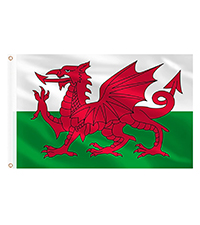 wales flag