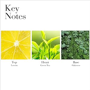 Green Tea, fragrance, scent, perfume, fresh, floral, body cream, fragrance layering, honey drops