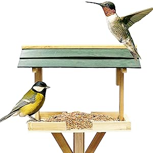 Bird Feeder