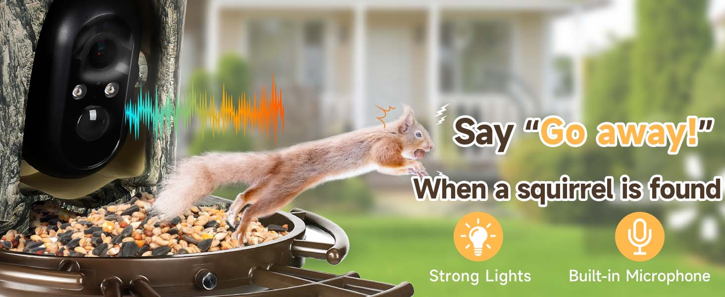 bird camera wireless outdoor