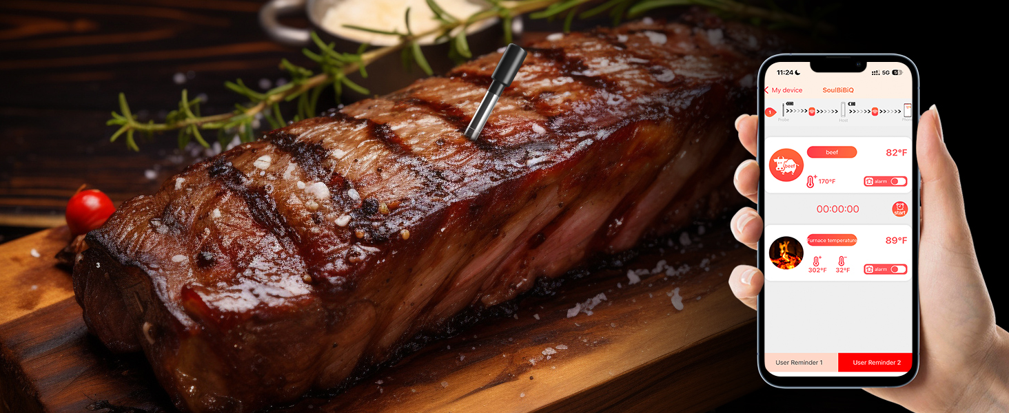 Wireless Meat Thermometer