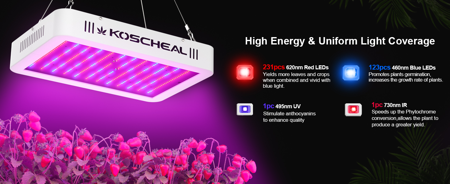 led grow lights