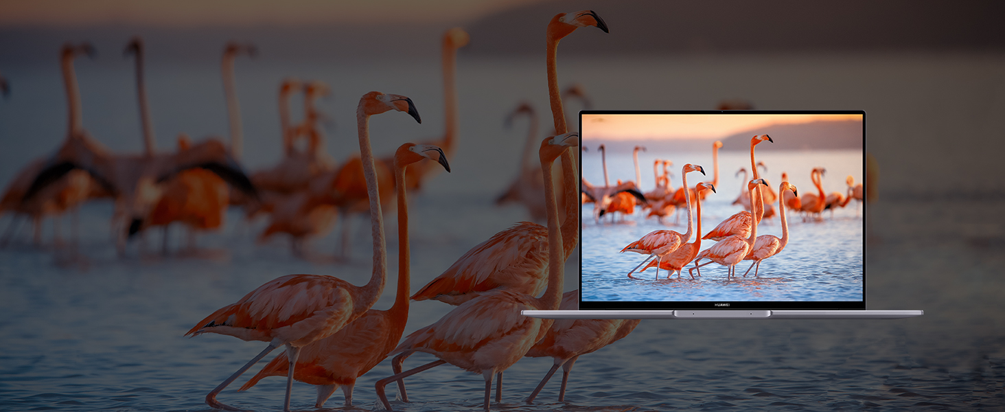 HUAWEI Matebook 16s 2023