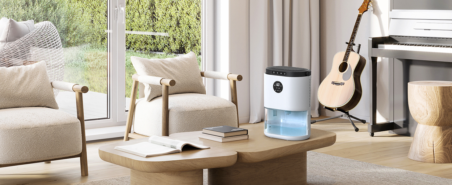 Dehumidifier