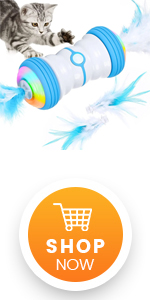 Interactive Feather Toy for Cat