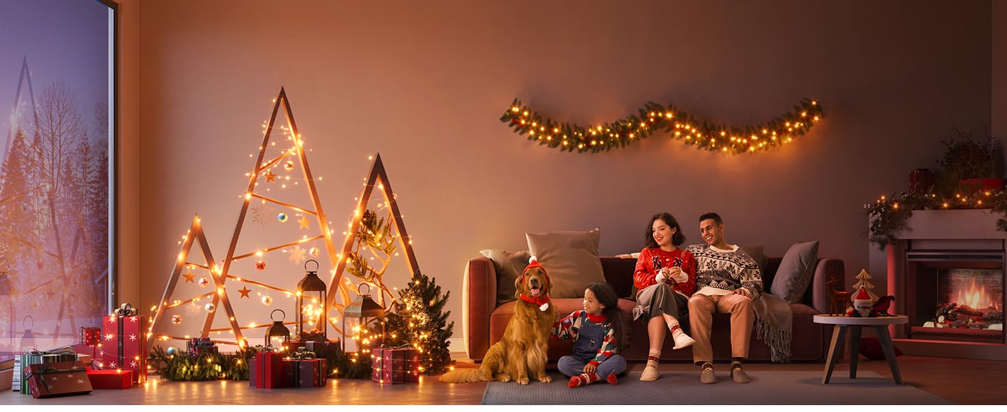 Govee Christmas String Lights 20M