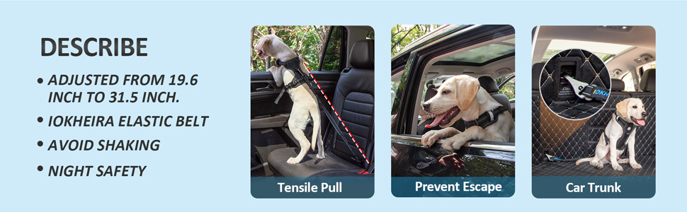 dog seat belt