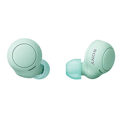 Sony WF-C500 True Wireless Headphones - Up to 20 hours battery life with charging case - Voice Assistant compatible - Built-in mic for phone calls - Reliable Bluetooth® connection - Gree