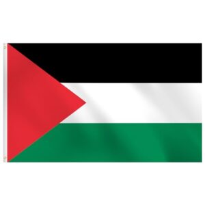 Palestine Flag 3x5 Outdoor - Black