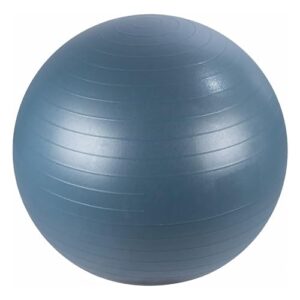 GEEZY Extra Thick Yoga Ball Exercise Ball