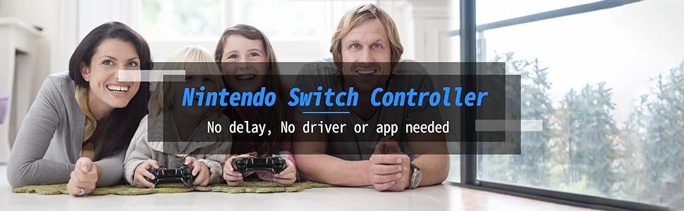 nintendo switch controller