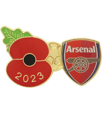sport pin