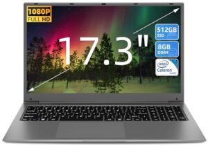 SGIN 17.3 Inch Laptop 8GB DDR4 512GB SSD (TF 512GB)