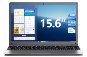 SGIN 15.6 Inch Laptop 12GB RAM 512GB SSD