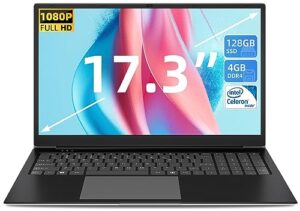 SGIN 17.3 Inch Laptop Windows 11 4GB DDR4 128GB SSD (TF 512GB)