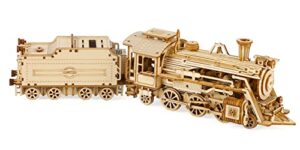 ROKR Locomotive Wooden Model kit For Adult - Locomotive Model Building Kits - Christmas Birthday Gifts For Teens and Adults (Prime Steam Express)