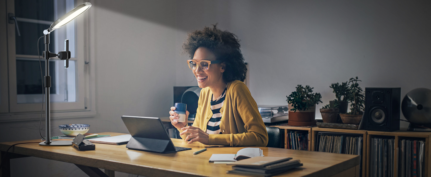 LitONES Desktop Video Conference Light