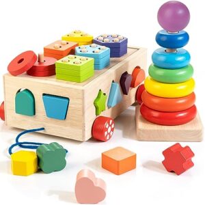Bravmate Montessori Toys for 1 2 3 Year Old