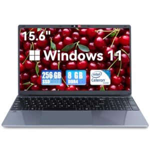 Geviar 8GB DDR4 256GB SSD Laptop