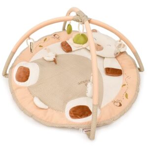 KandyToys Play Project Baby Play Gym Activity Playmat For Newborns