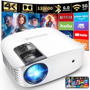 Projector