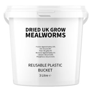 2L - Dried Mealworms In Reusable Plastic Tub (2L Premium Bucket of Mealworms)