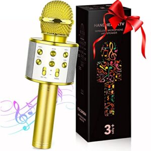 GeschenPark Microphone Kids