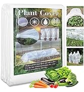 plant supports for indoor plants