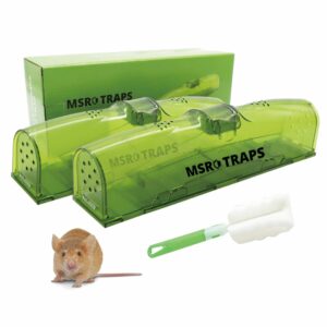 Mouse Traps