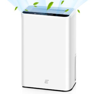 Dehumidifiers for Home
