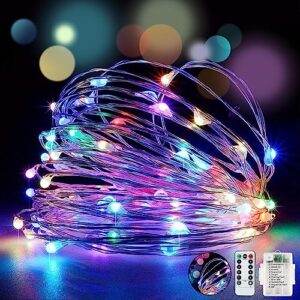 Lezonic Fairy Lights Battery