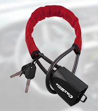 Antitheft Locking Devices