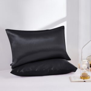 Moonlight Bedding Satin Black Pillowcases 2 Pack - Silk Pillowcase for Hair and Skin Luxury Satin Pillowcases with Envelope Closure Satin Pillow Case Standard Satin Silk Pillowcase (50x75 CM)