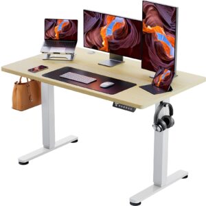 Ergear Height Adjustable Electric Standing Desk