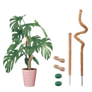 Bendable Moss Pole for Plants Monstera