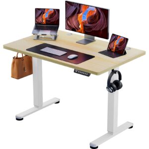 ErGear Height Adjustable Electric Standing Desk
