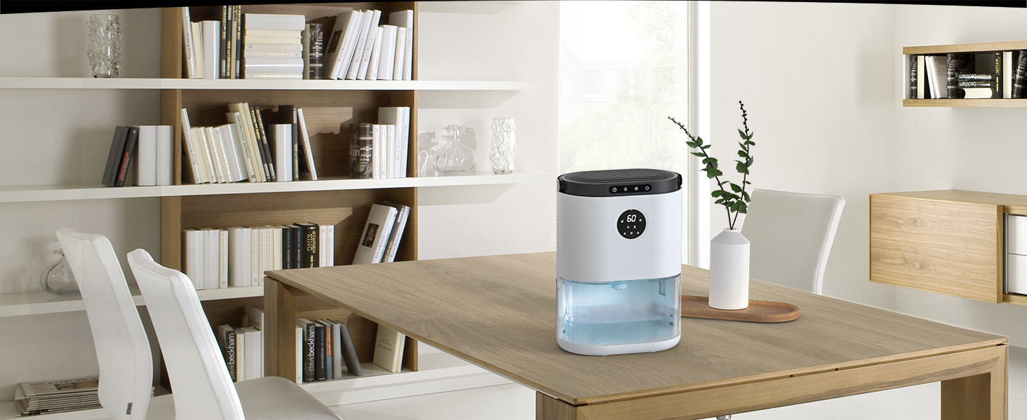 Dehumidifier
