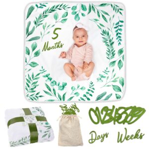 Baby Milestone Blanket | Monthly Milestone Blanket for Baby Boy or Girl