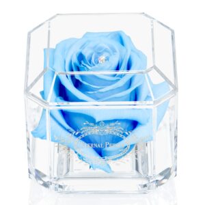 A 100% Real Rose That Lasts Years - Eternal Petals
