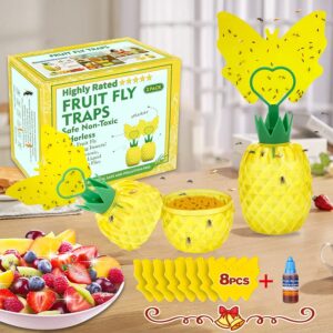 Fruit Fly Trap Indoor