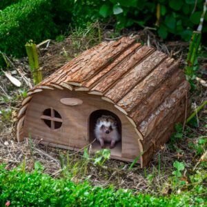 Woodside Wooden Hedgehog & Guinea Pig Hose
