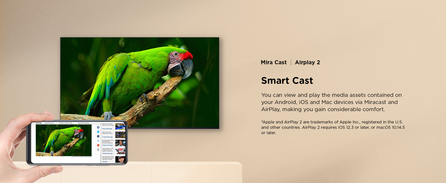 Smart Cast
