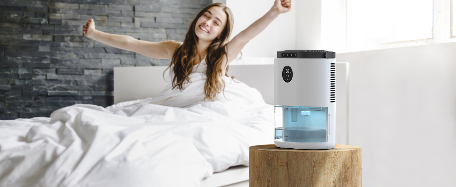 Dehumidifier