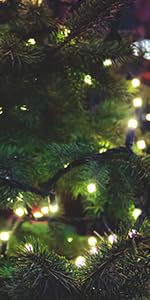 300LED Warm White Fairy String Light