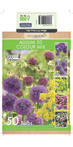 Allium 50 Mix Bulbs