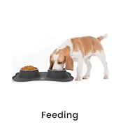pet product