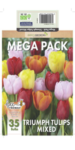 Tulip Mega Pack
