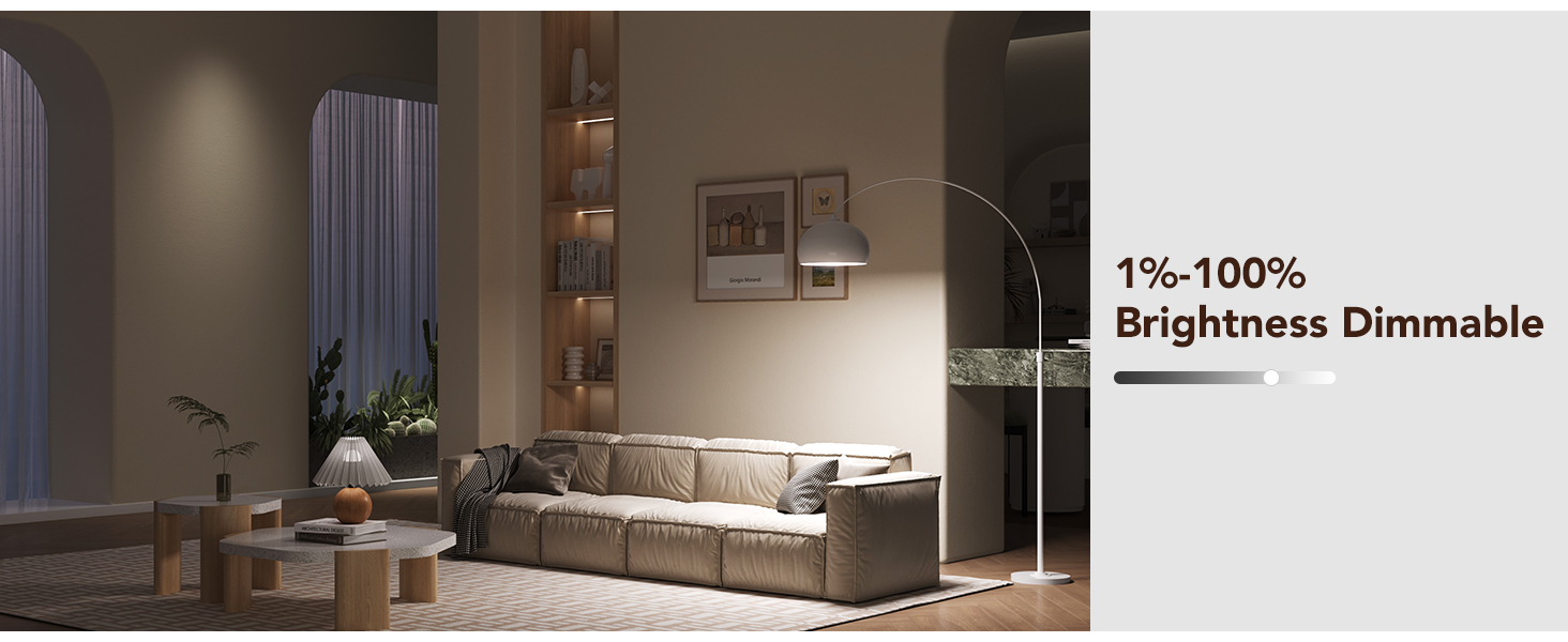 Adjustable Brightness